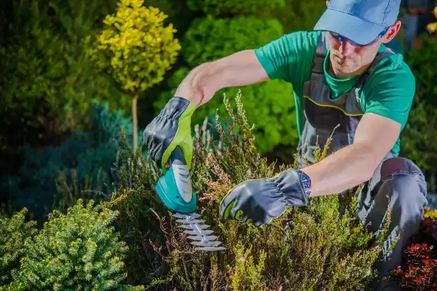 landscaping services Bridgman